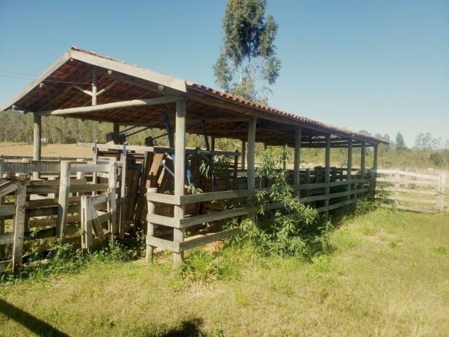 Sítio para Venda em Gália - 5