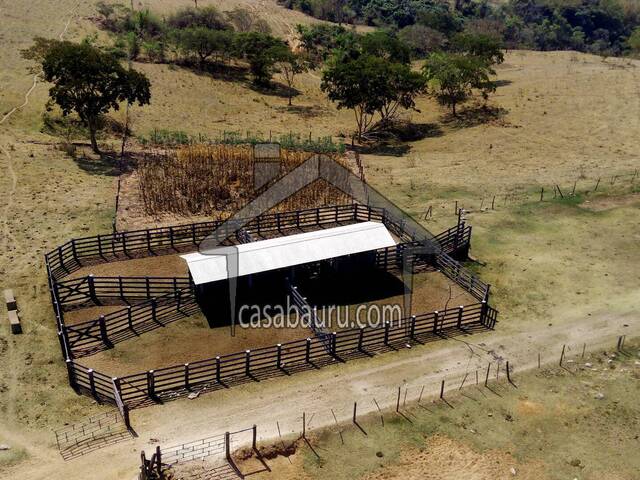 #196 - Fazenda para Venda em São Paulo - SP - 3