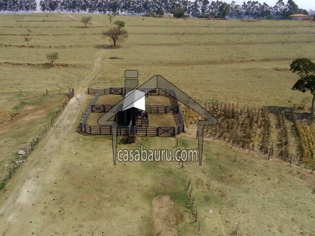 #196 - Fazenda para Venda em São Paulo - SP - 2