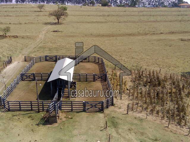 #196 - Fazenda para Venda em São Paulo - SP - 1